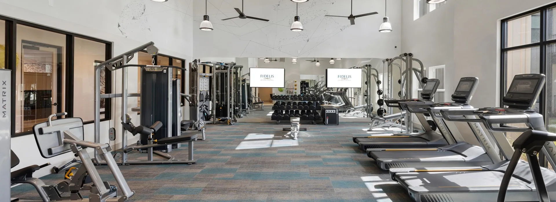 fitness