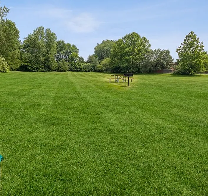 Outdoor Green Space