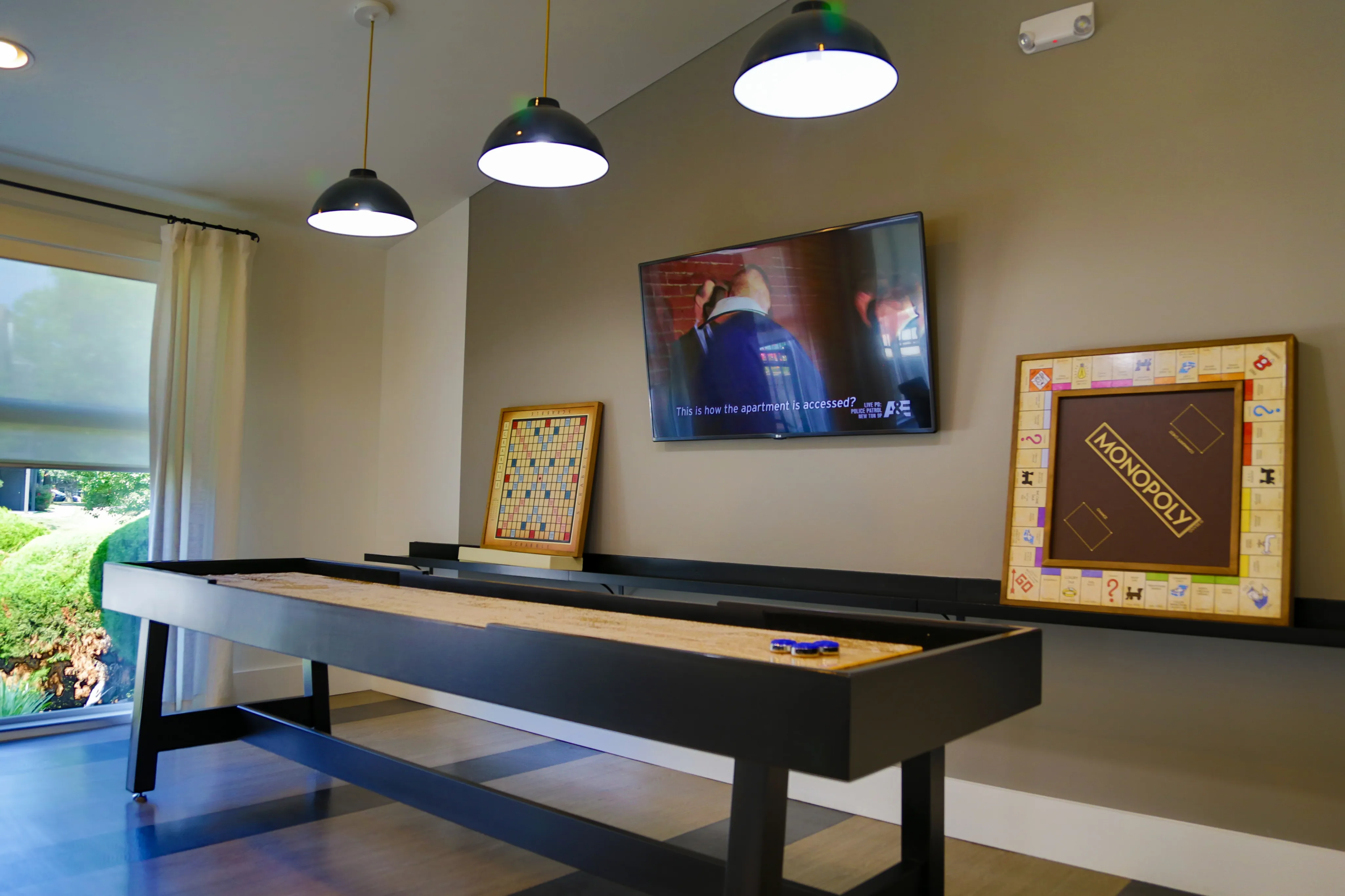 Shuffleboard