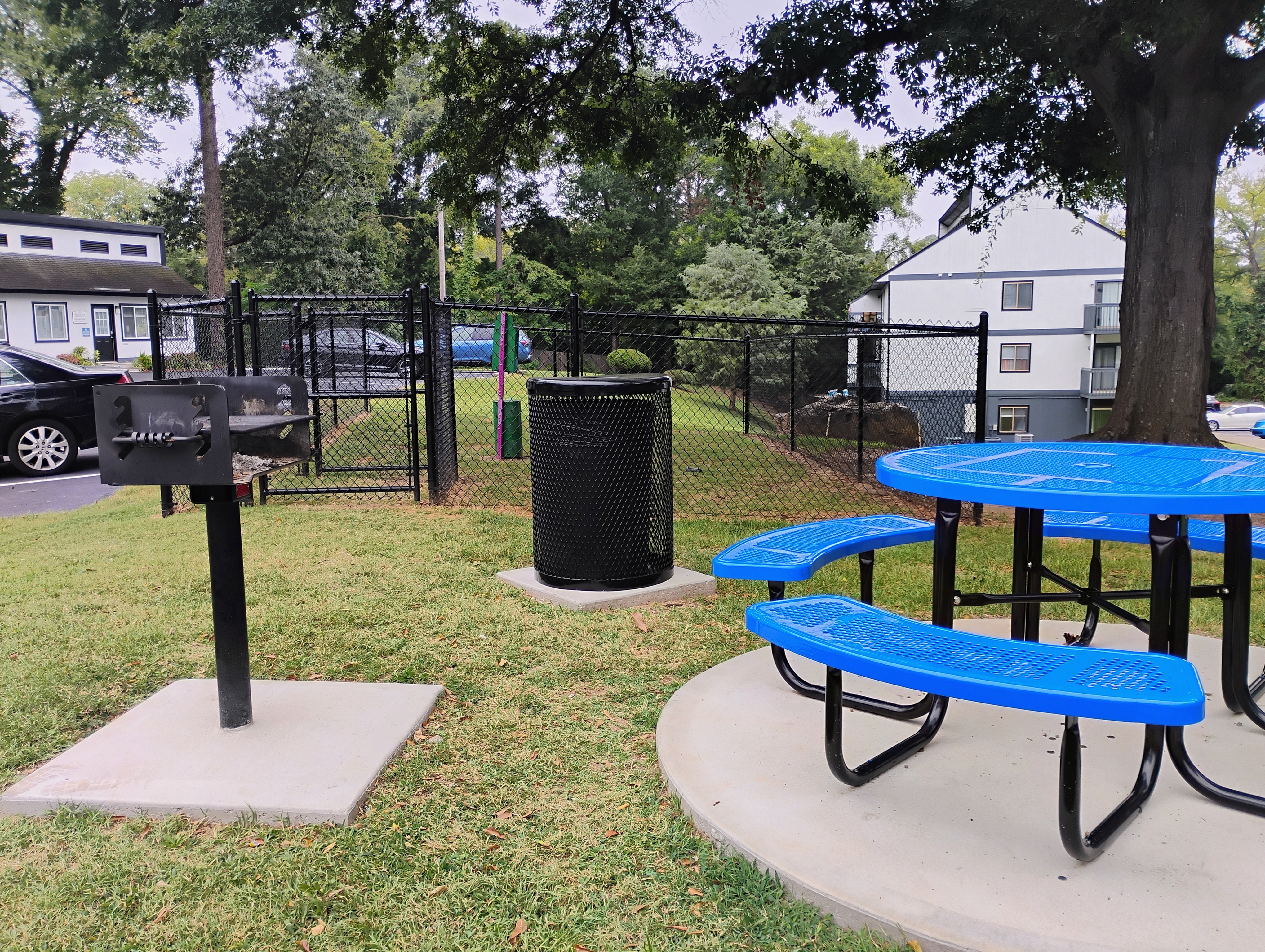 Bark Park