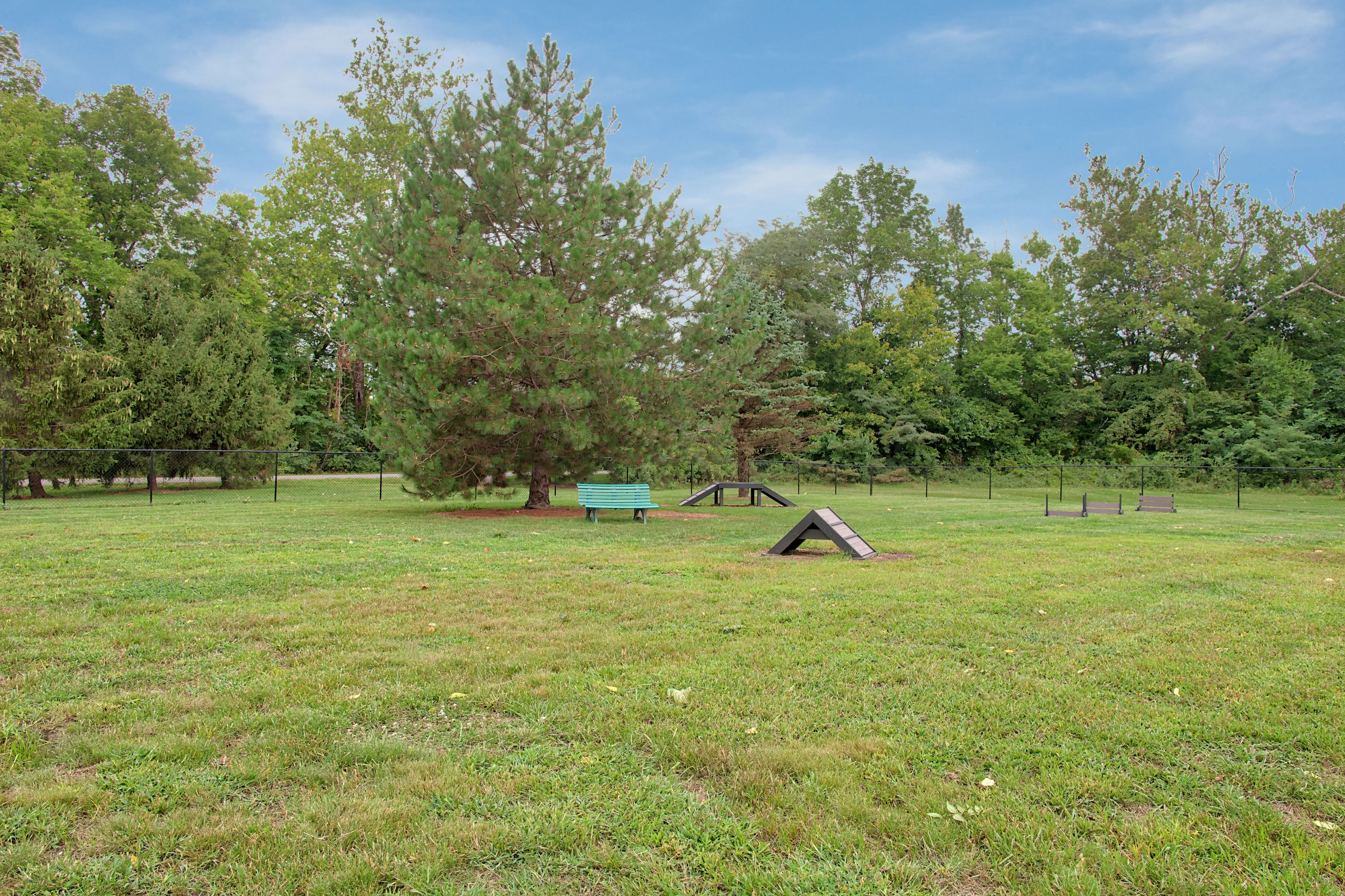 Dog Park