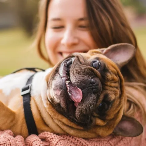 pet