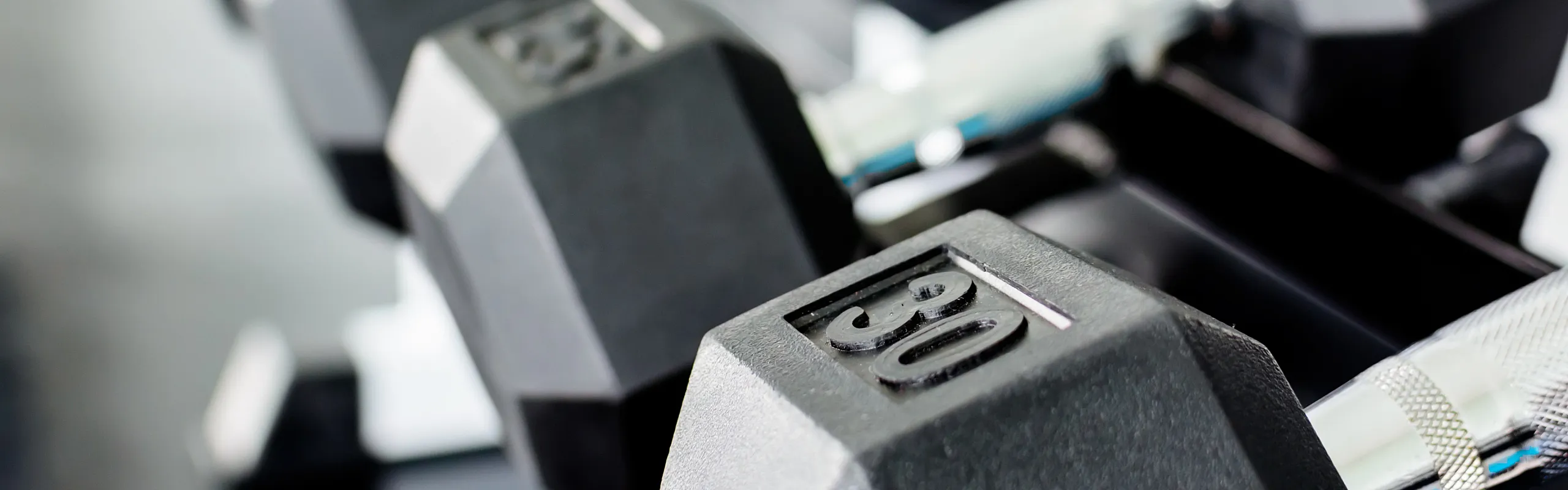 picture of weights