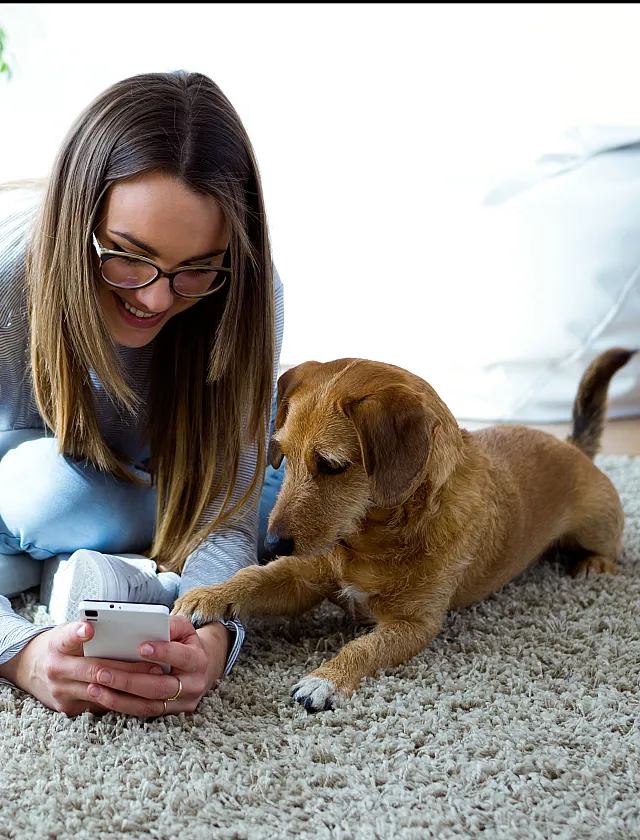 Four Winds pet stock photo