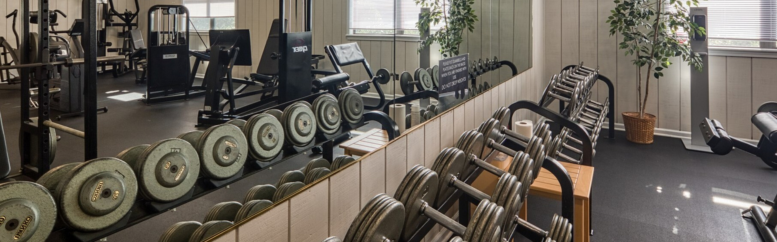 gym