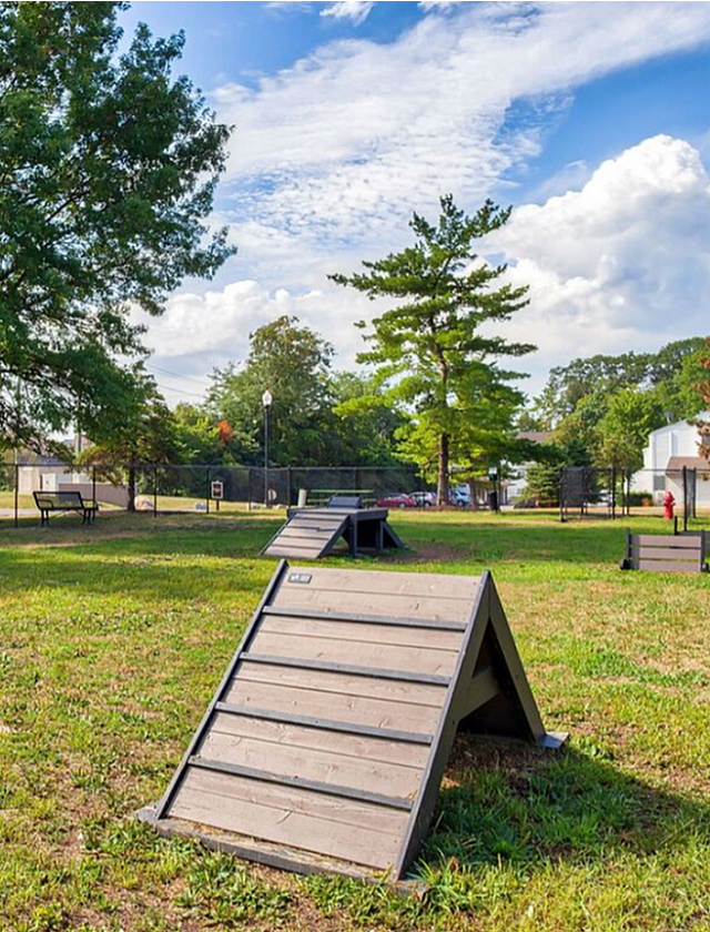 Dog Park