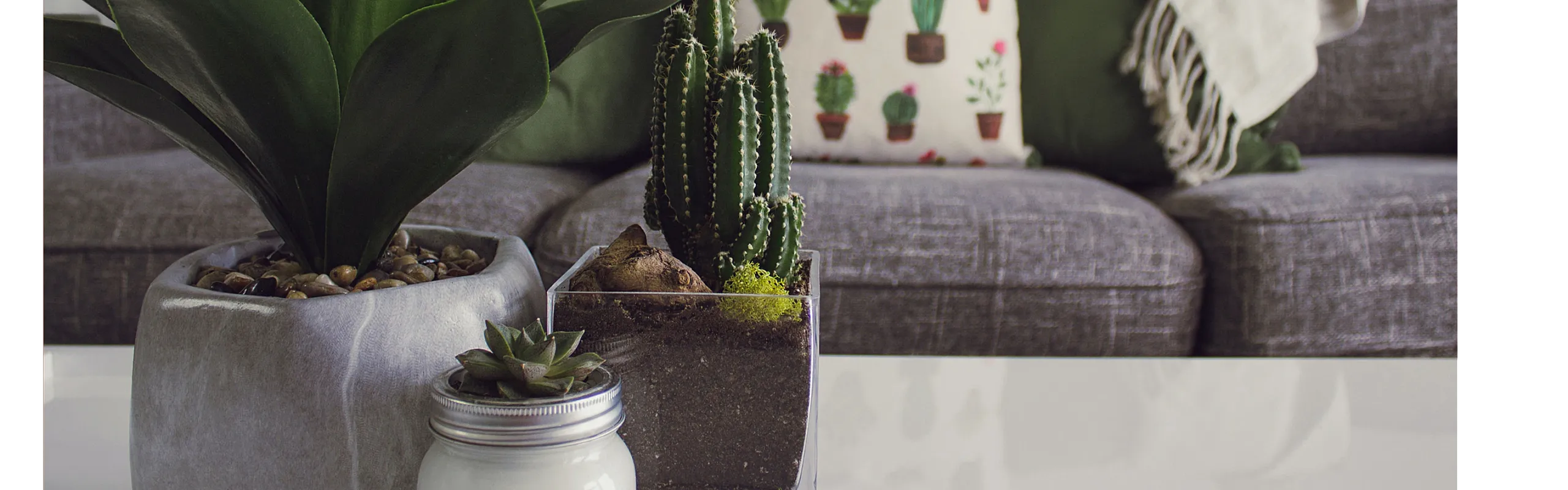 table with plants