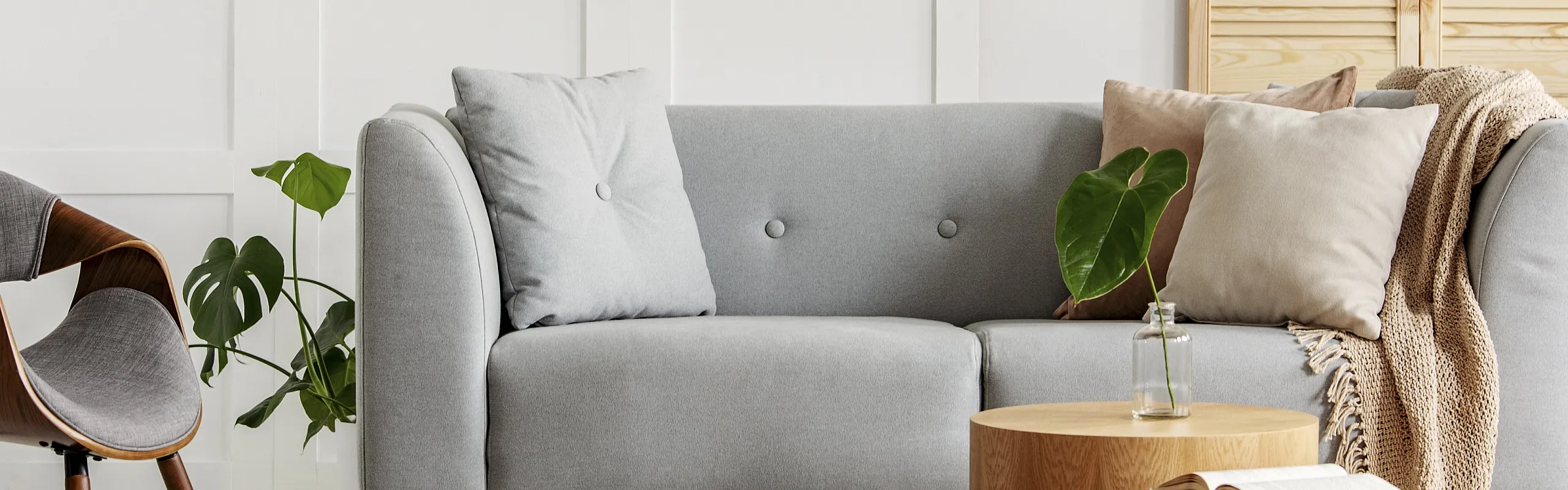 picture of couch