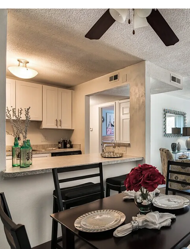 Renovated Kitchen