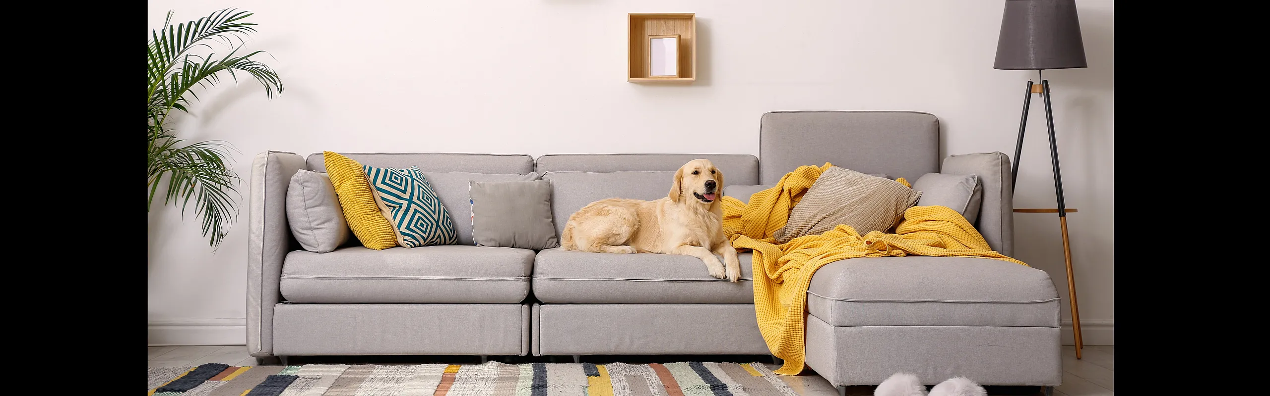 Pet Friendly