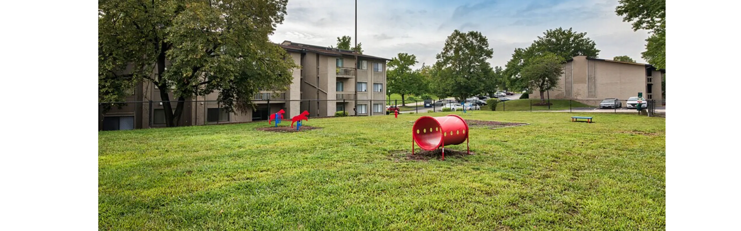 Dog Park