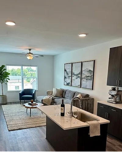 Kitchen and Living Room Interior