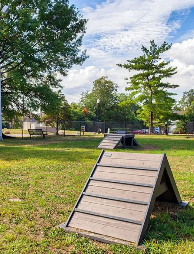 Dog Park