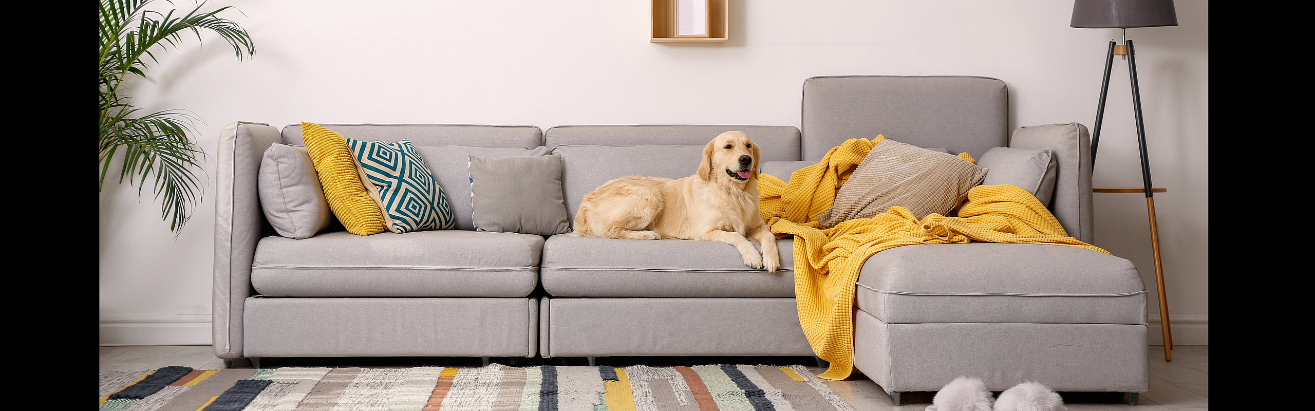 pet friendly community | Element