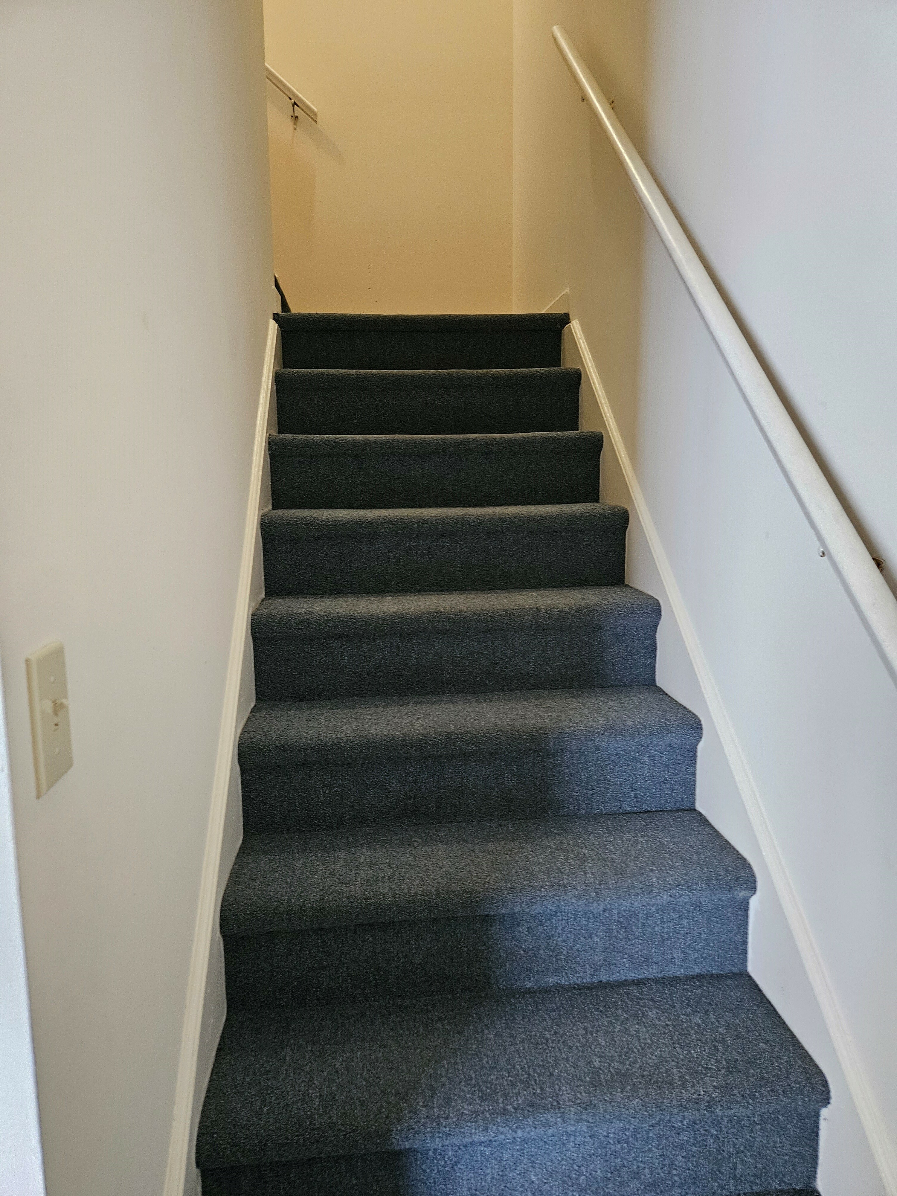 1st flight of steps