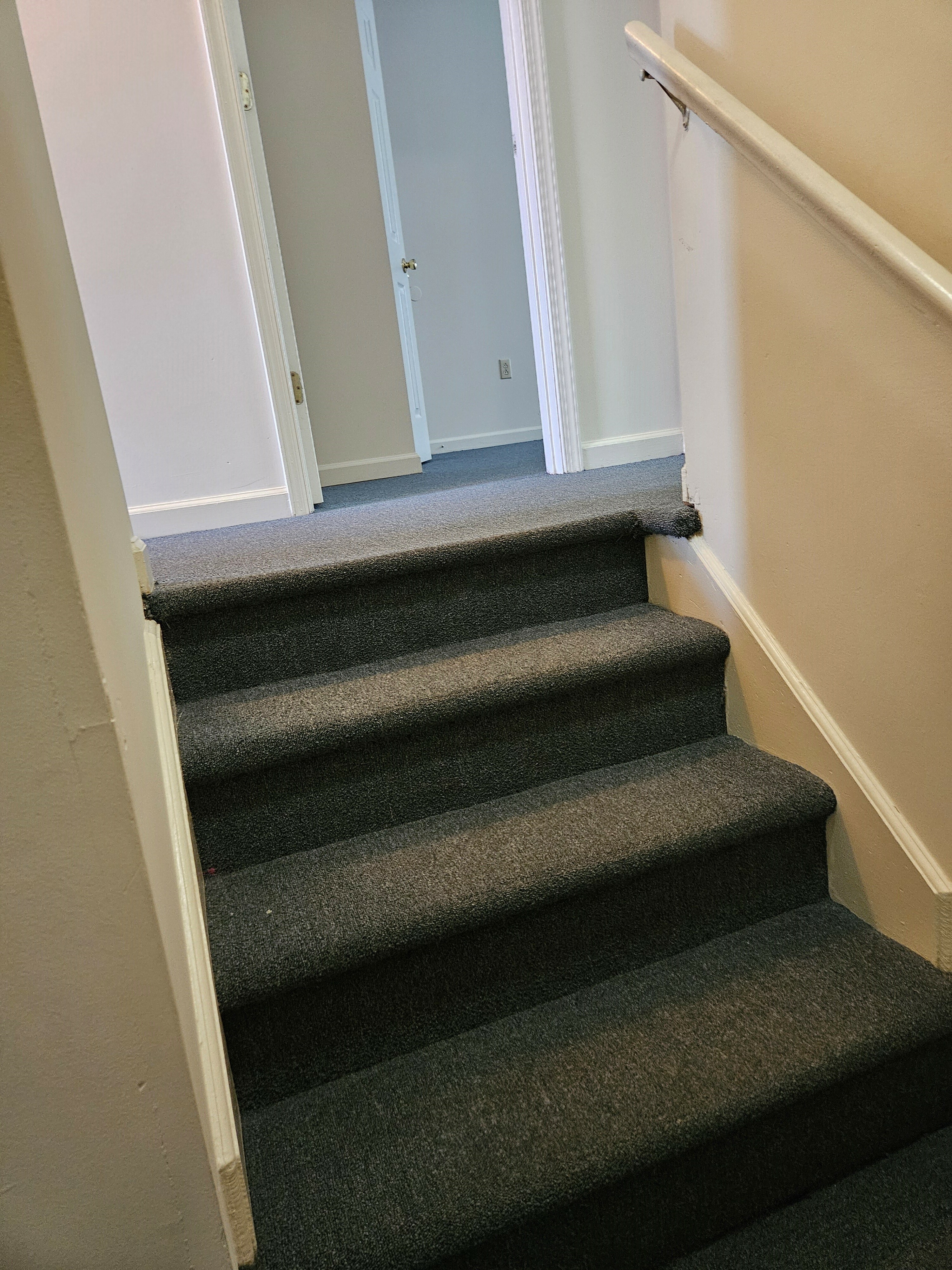 steps