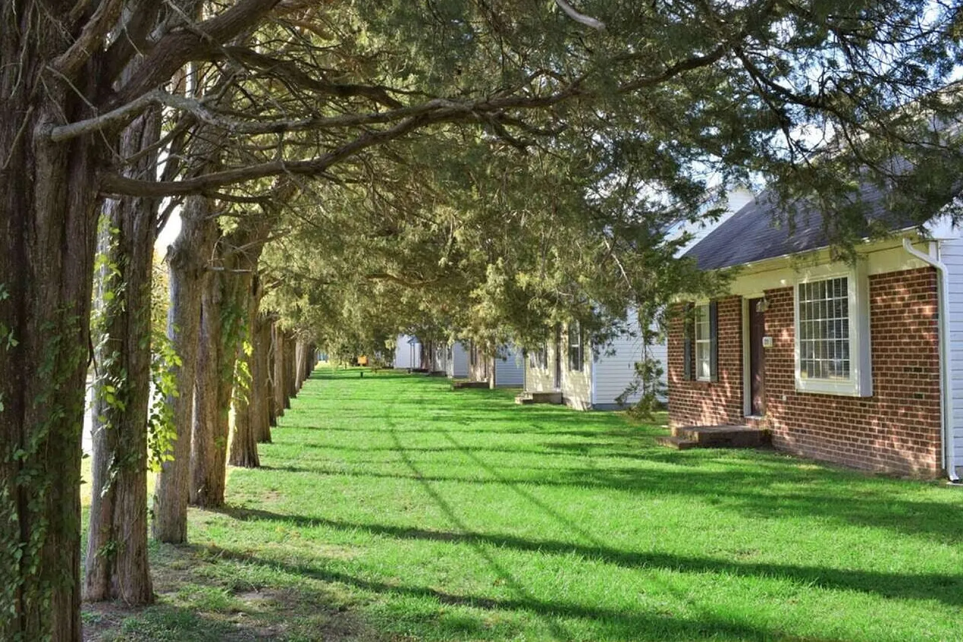 Charming brick apartment nestled beside a picturesque row of lush cedar trees, offering a serene and inviting outdoor environment.