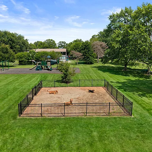 Expansive community park with a vibrant playground and a secured dog run area, surrounded by lush greenery and towering trees.