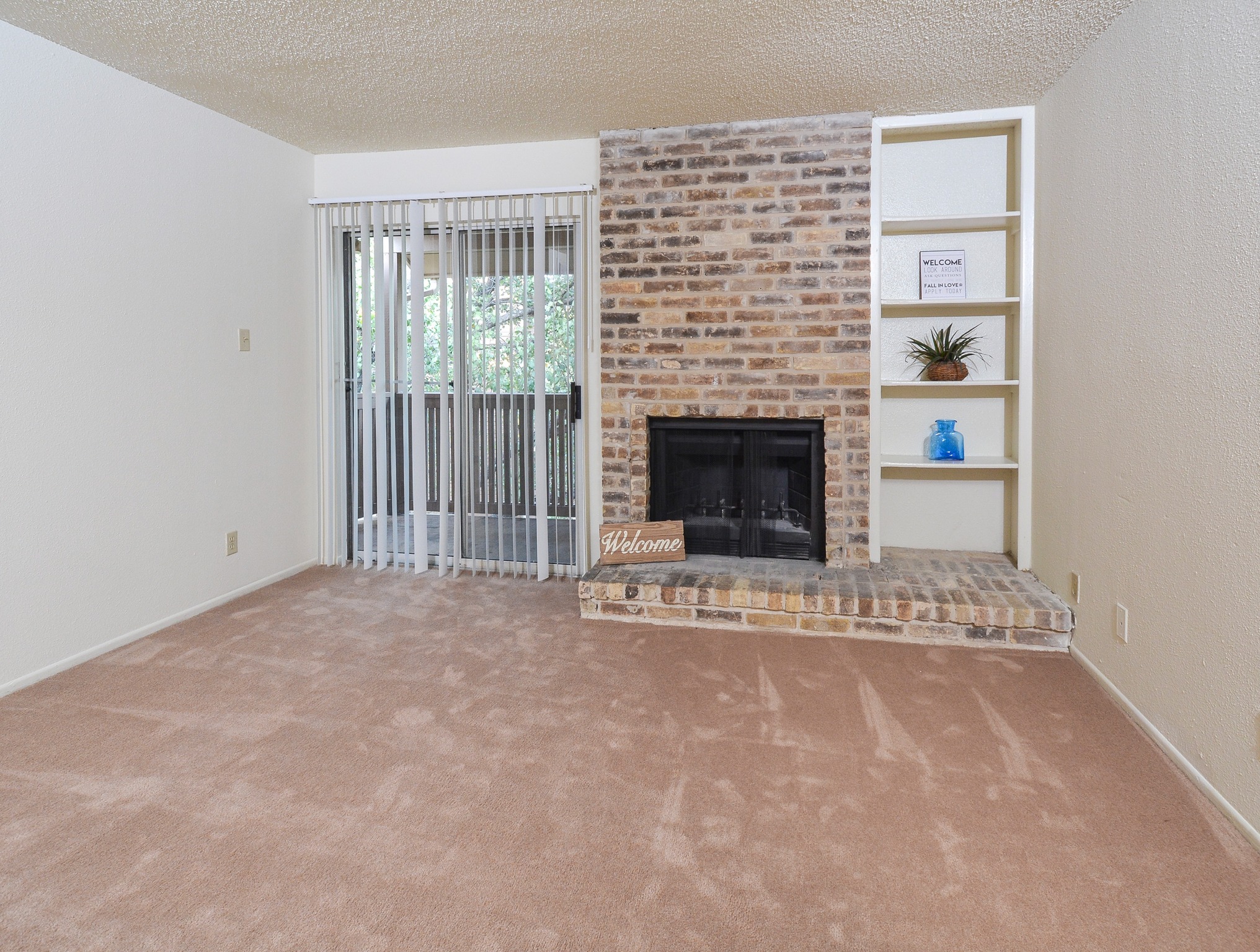 Fireplace | Patio Door | Book Shelves