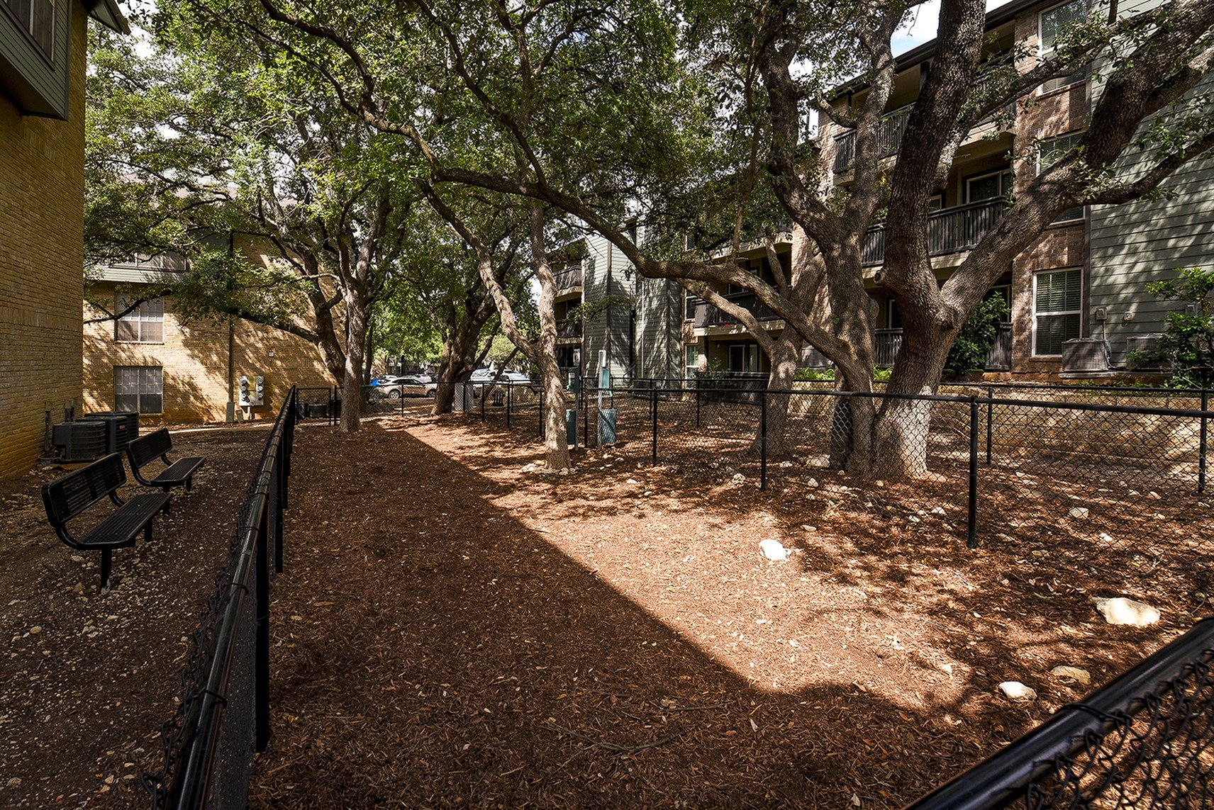 Dog Park