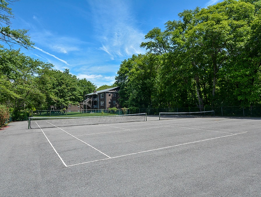 Single tennis court surrounded by trees