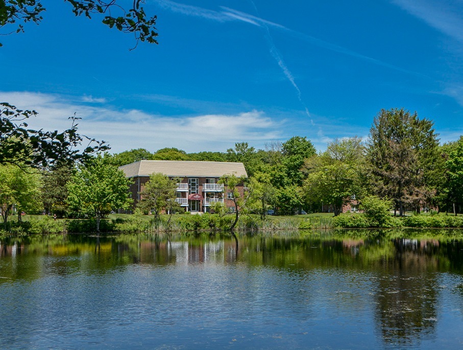 Pond in front of a building