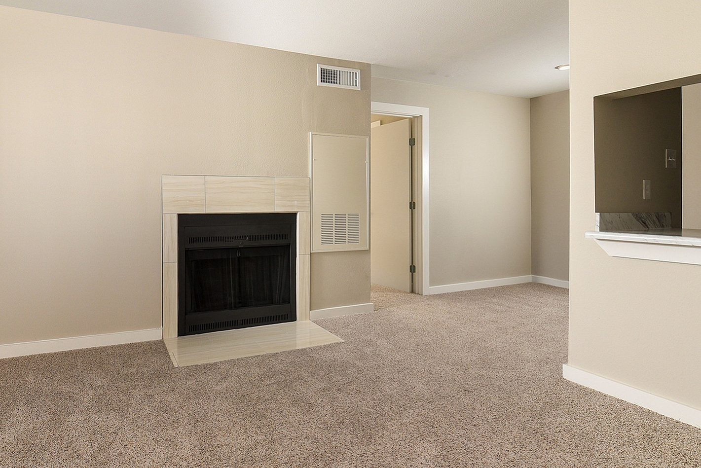 Designer home | fireplace | carpet