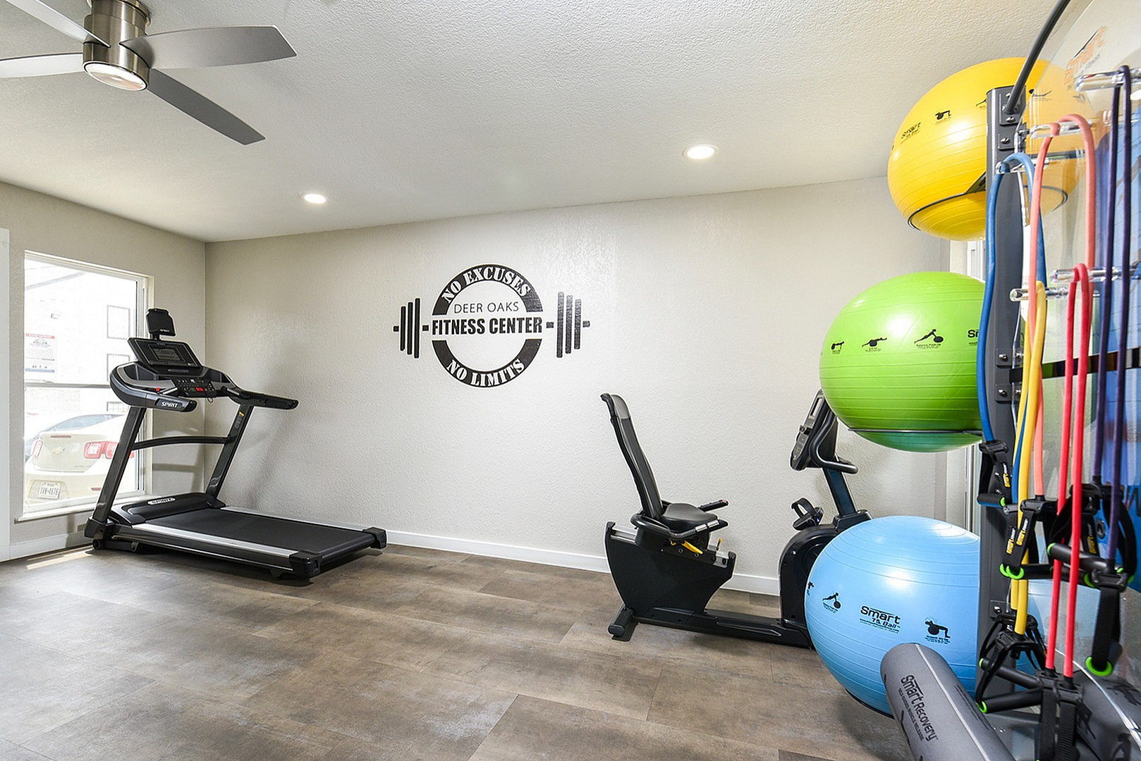 Modern fitness center with treadmill, exercise bike, and vibrant gym balls creating a dynamic workout space.
