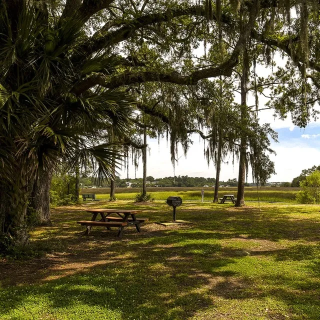 View of the Ashley River | Picnic Tables | Grills
