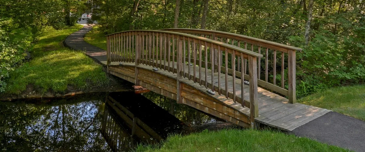 Bridge over creek