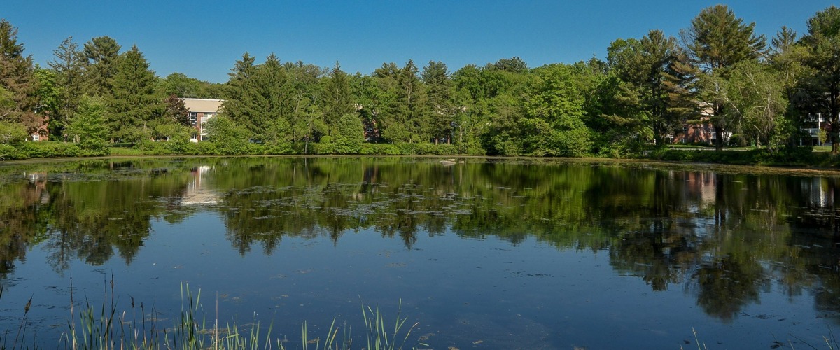 Community Pond