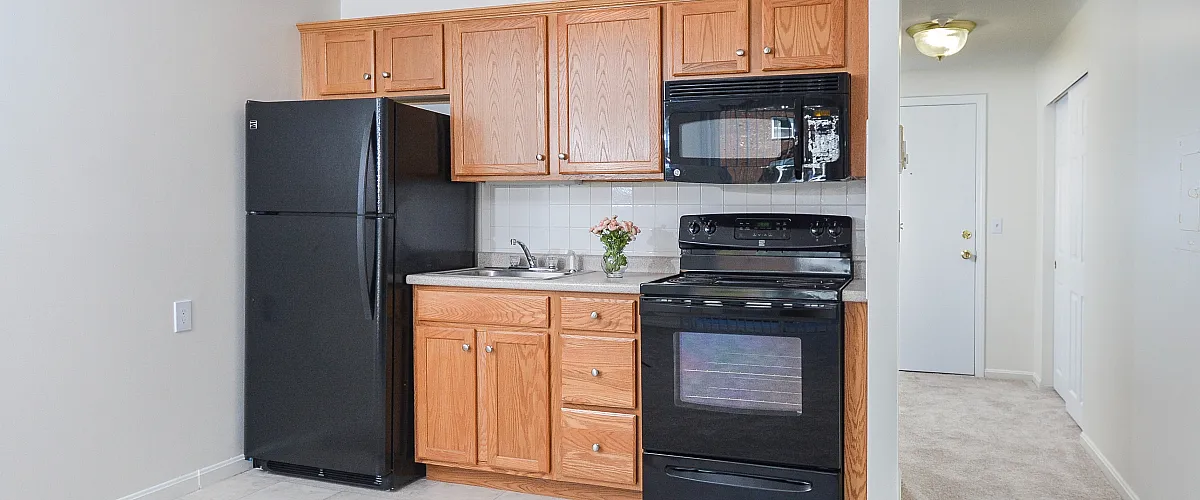 Efficiency kitchen | oak cabinets and black appliances