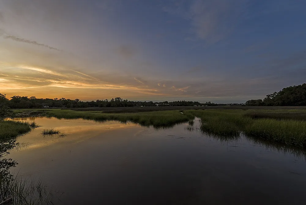 View of the Ashley River