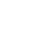 Canyon Point logo