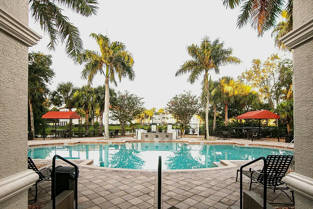 Tropical paradise poolside view with lush palm trees and inviting lounge chairs perfect for relaxation.