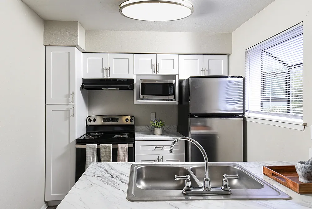 Modern kitchen with sleek stainless steel appliances, elegant white cabinetry, and a double-basin sink, bathed in natural light from a large window.