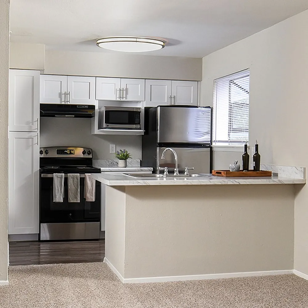 Charming apartment interior showcasing a modern kitchen with sleek appliances and a cozy, open living area with plush carpeting.