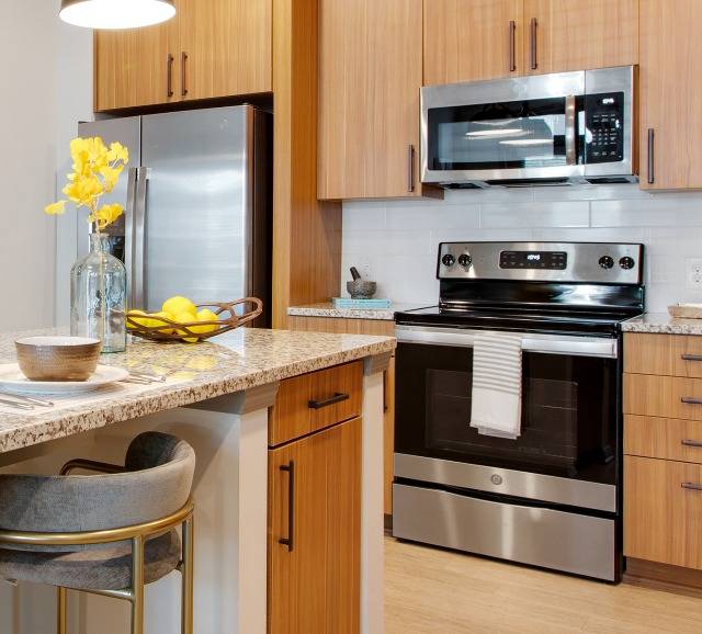 Stainless Steel Appliances in Kitchen