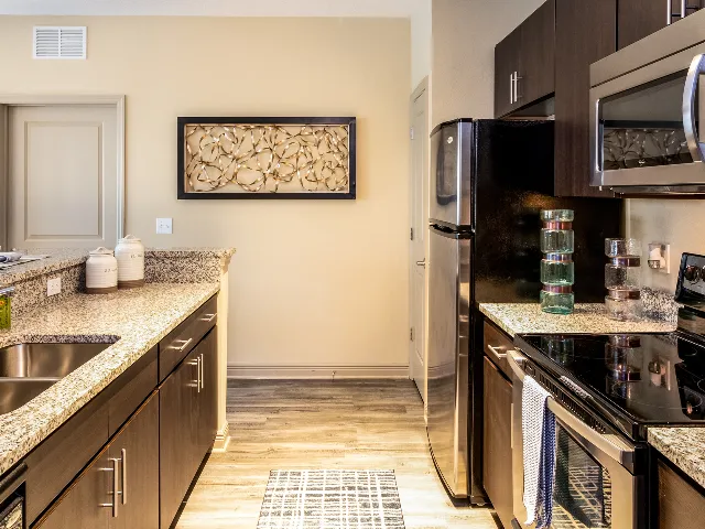 Millenia 700 Spacious Kitchen w/Granite Countertops and Espresso Cabinets
