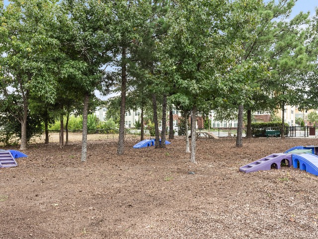 Dog park