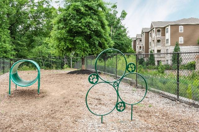 Fenced-In Dog Park with Play Structures