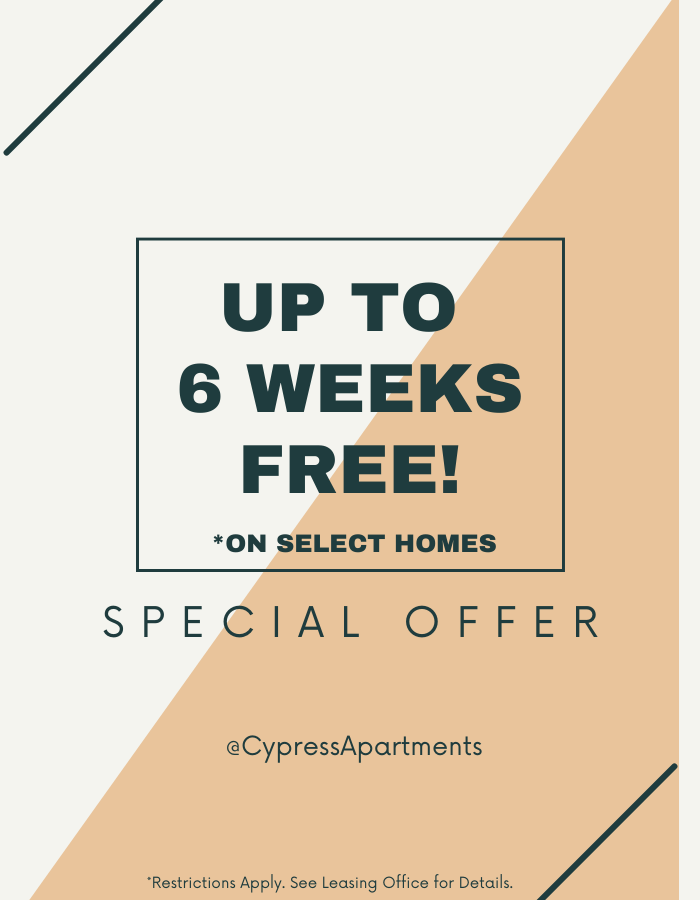 Cypress