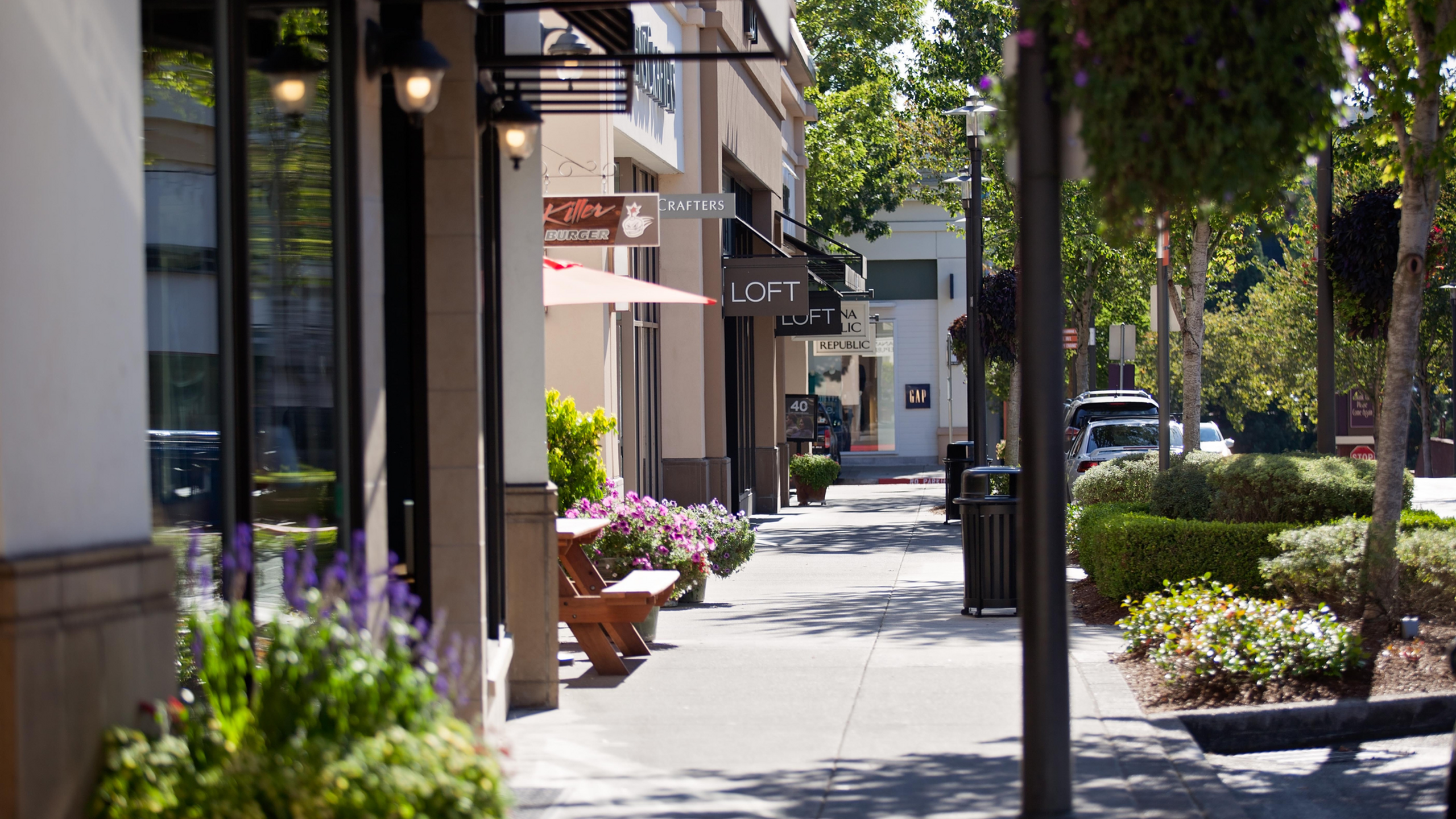 Vibrant street view with shops and greenery in a bustling neighborhood.