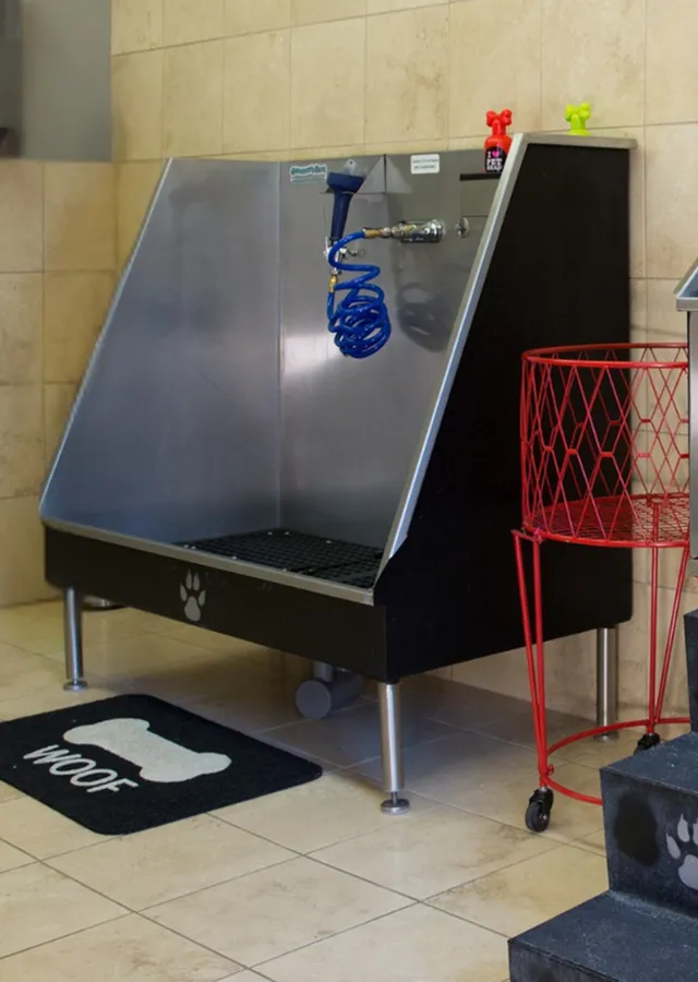 Modern pet washing station featuring a sleek metal tub, tile flooring, and vibrant decor, perfect for convenient grooming.