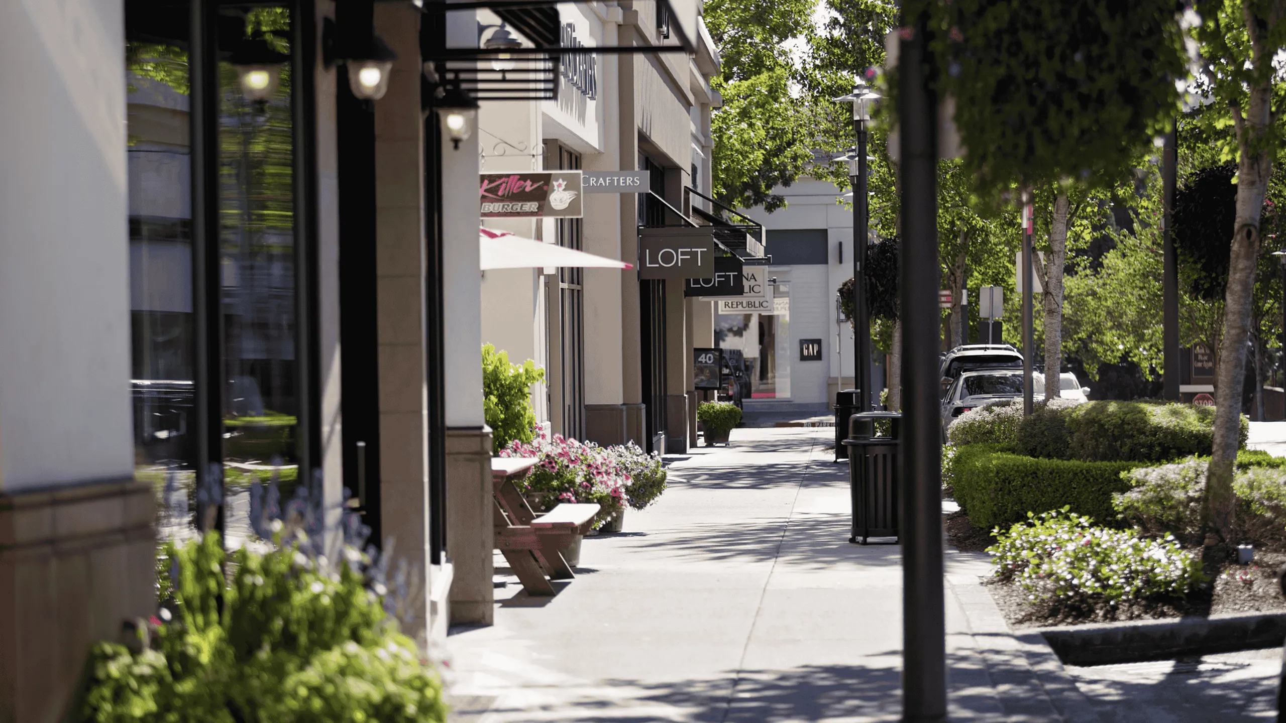 Charming urban streetscape with vibrant shops, lush greenery, and cozy outdoor seating, creating a welcoming neighborhood ambiance.