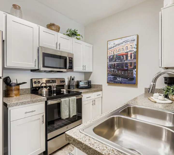 Modern kitchen with sleek granite countertops, stainless steel appliances, and stylish cabinetry, complemented by a chic artwork and a decorative plant.