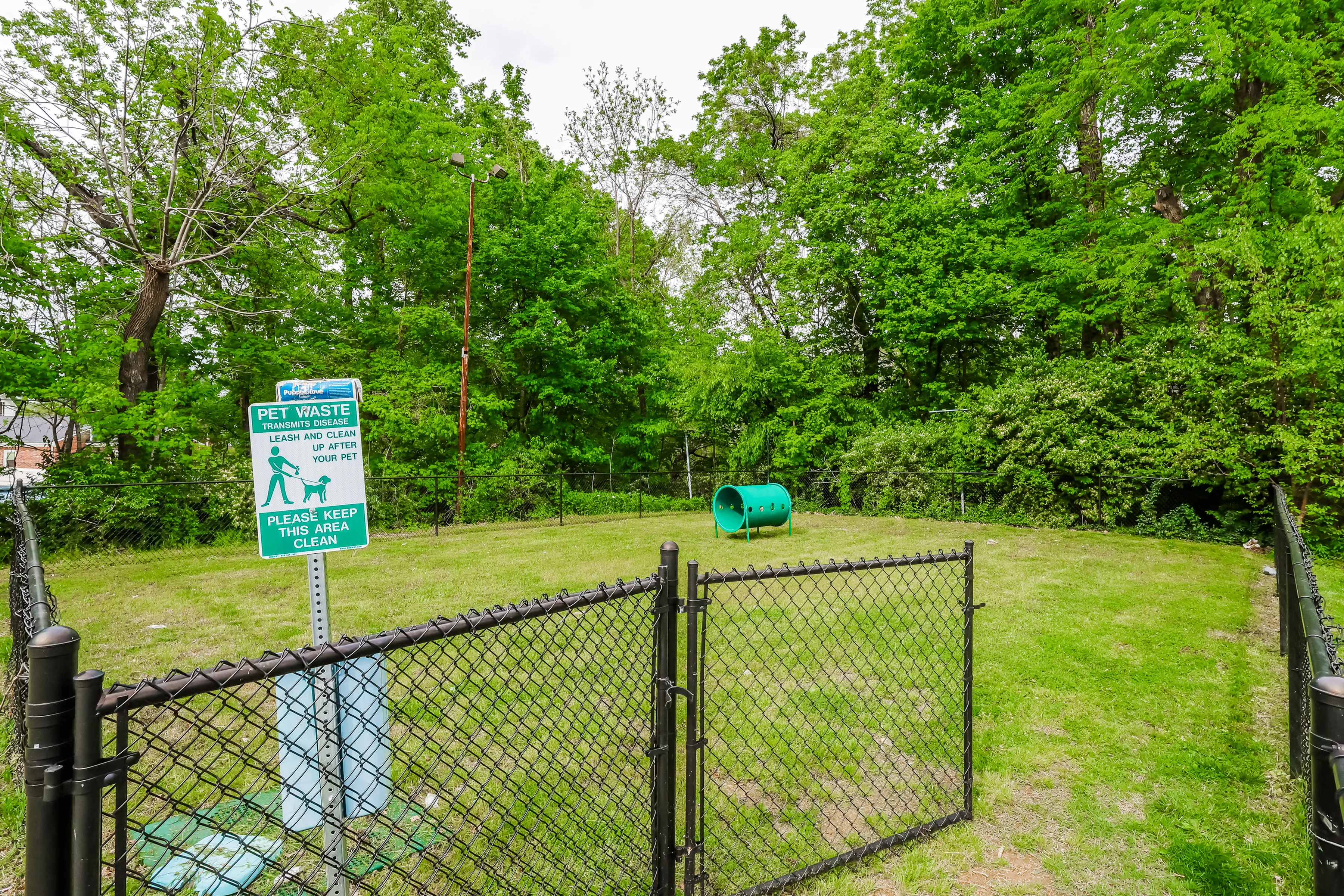 Lush, pet-friendly outdoor area with fenced space and agility equipment, surrounded by vibrant greenery for a serene, communal atmosphere.