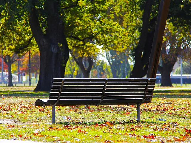 Tranquil park scene featuring an empty wooden bench surrounded by lush green trees and autumn leaves.