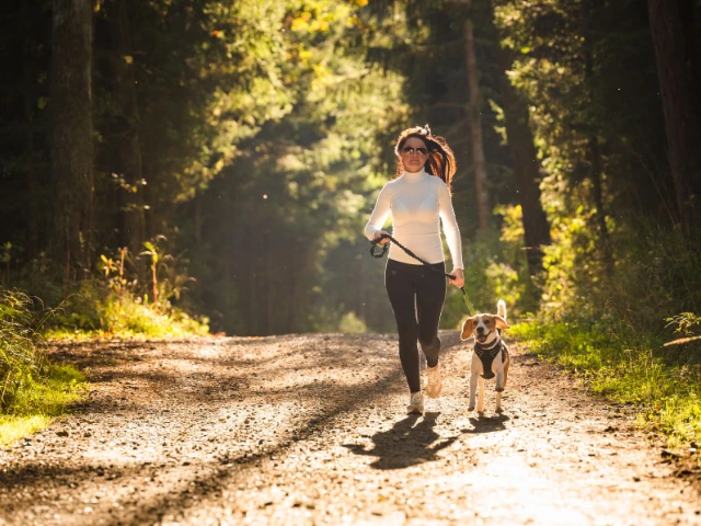 A woman jogging with her dog along a sunlit dirt trail through a wooded forest. The woman is wearing athletic clothing and sunglasses while holding the dog’s leash. Warm sunlight filters through the trees, creating a peaceful outdoor atmosphere.