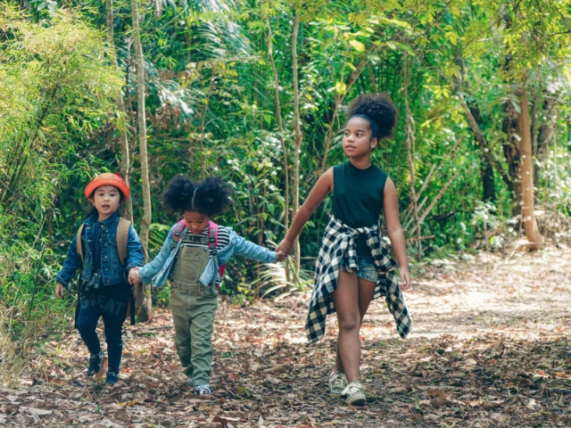 Three children walk together along a wooded nature trail surrounded by lush greenery. Wearing casual outdoor clothing and backpacks, they explore the scenic path, highlighting opportunities for outdoor learning, family activities, and nature-based recreation.